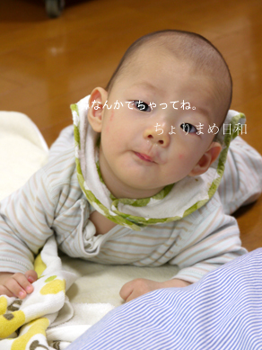 ちょりまめ日和