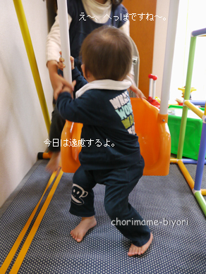 ちょりまめ日和