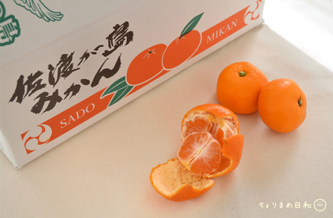 佐渡みかん220109