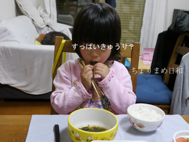 ちょりまめ日和