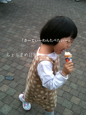 ちょりまめ日和