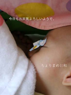 ちょりまめ日和