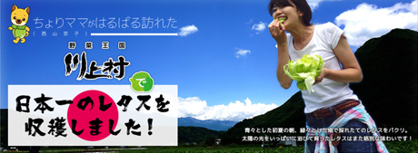 ちょりママが触れた!日本一のレタス産地 川上村のヒミツ。