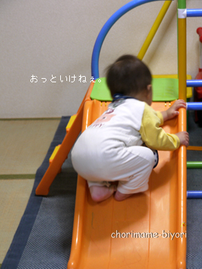 ちょりまめ日和