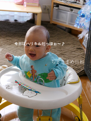ちょりまめ日和