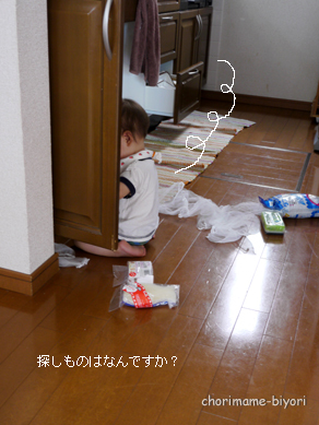 ちょりまめ日和