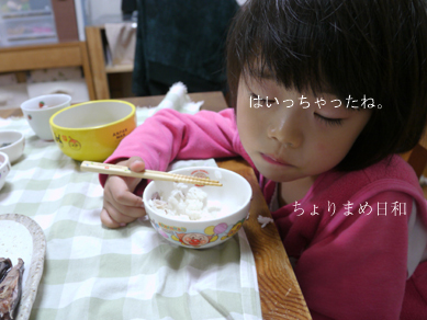 ちょりまめ日和