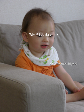 ちょりまめ日和