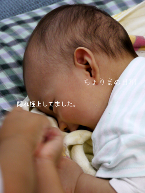ちょりまめ日和