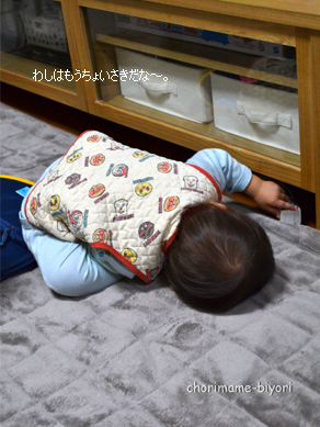 ちょりママオフィシャルブログ「ちょりまめ日和」Powered by Ameba