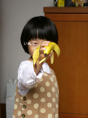 ちょりまめ日和