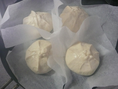 ちょりまめ日和