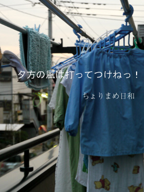 ちょりまめ日和