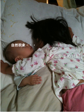 ちょりまめ日和