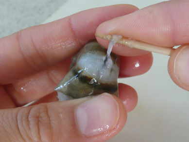 ちょりまめ日和