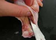 手羽元チューリップ形２