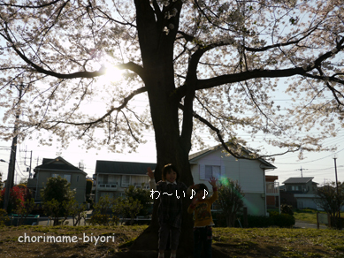 ちょりまめ日和
