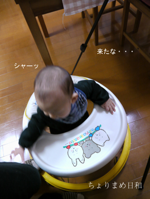 ちょりまめ日和