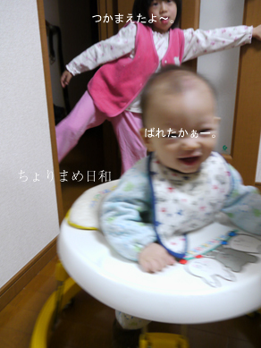 ちょりまめ日和