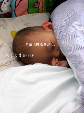 ちょりまめ日和