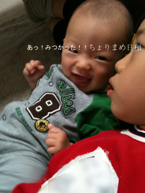 ちょりまめ日和