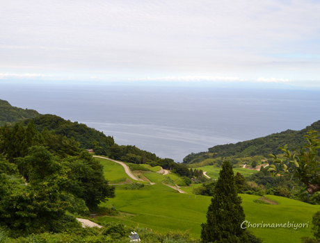 岩首棚田2