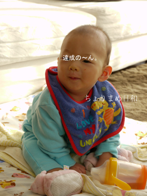 ちょりまめ日和