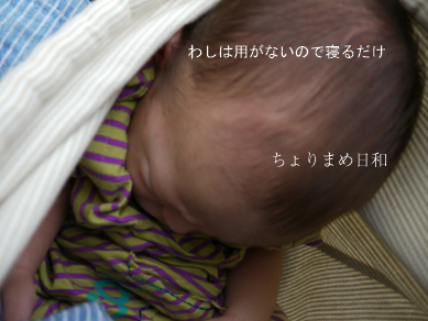 ちょりまめ日和