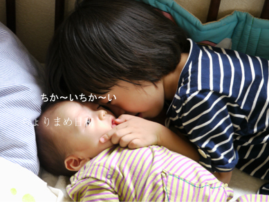 ちょりまめ日和