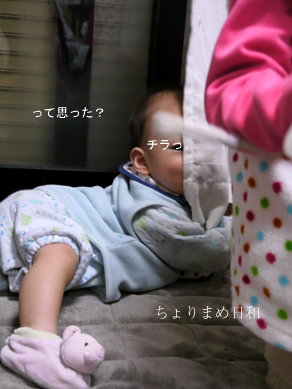 ちょりまめ日和