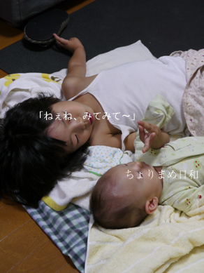 ちょりまめ日和