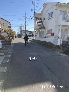 いくじ240322