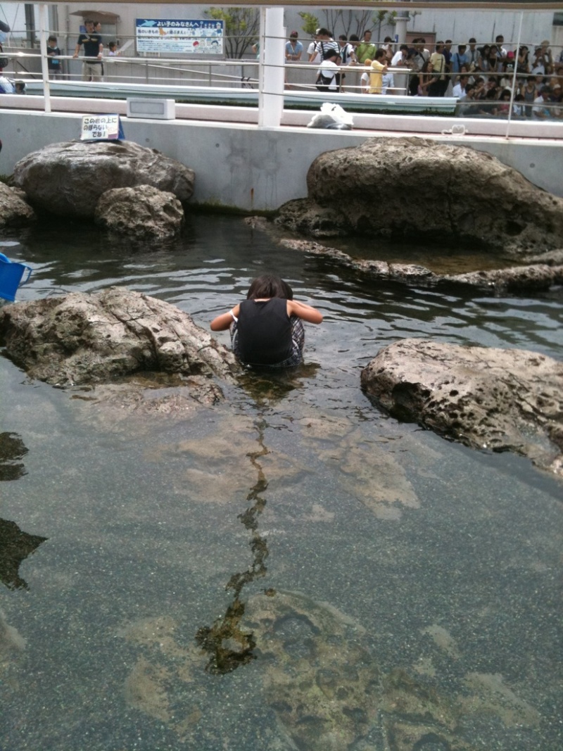 photo:09