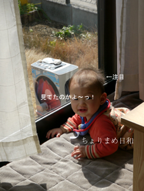 ちょりまめ日和