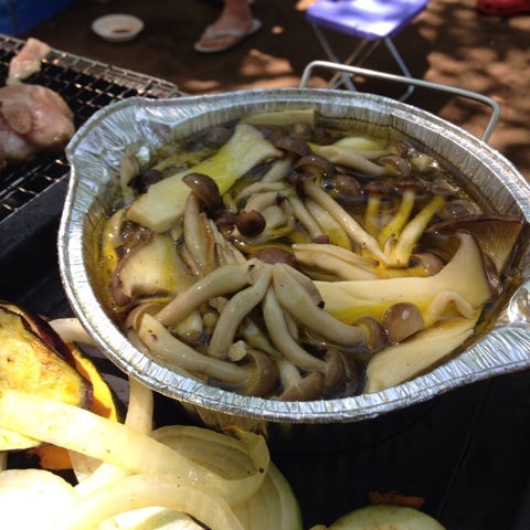 {9837E5F0-C0F1-4FAE-BEC3-97774C2291AD:01}