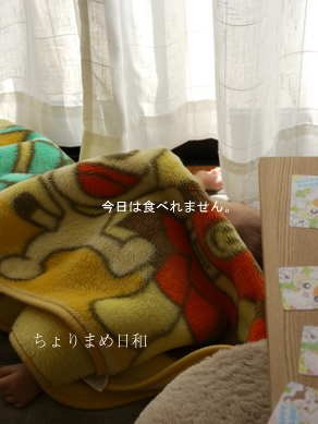 ちょりまめ日和