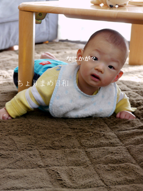 ちょりまめ日和