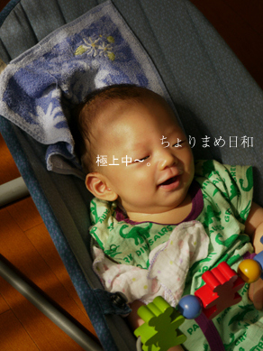 ちょりまめ日和
