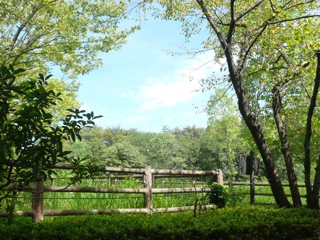 こども動物自然公園