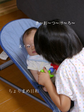 ちょりまめ日和