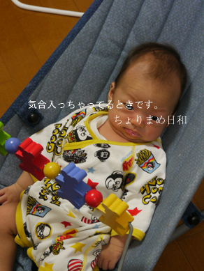 ちょりまめ日和