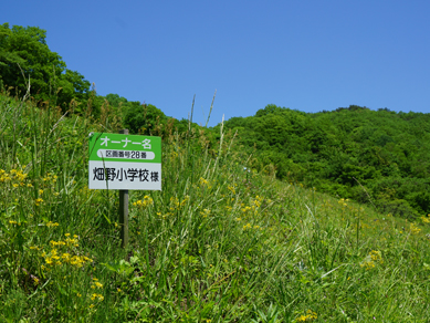 佐渡田植え20180519-9