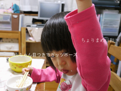 ちょりまめ日和