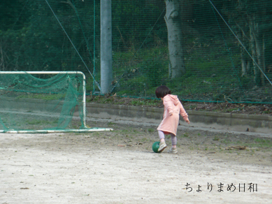 ちょりまめ日和