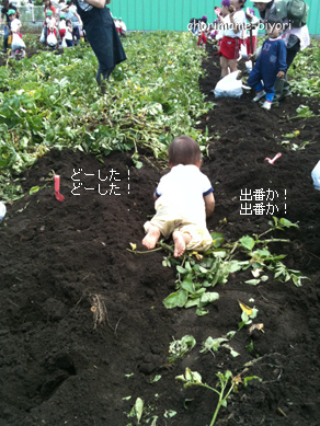 ちょりまめ日和