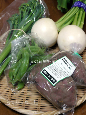 ちょりまめ日和