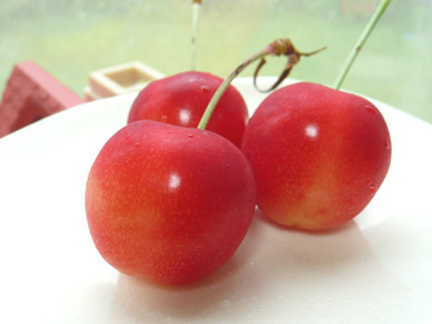 ユウりんさくらんぼ２