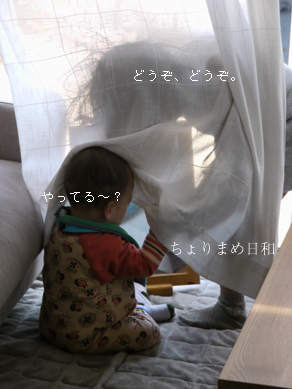 ちょりまめ日和