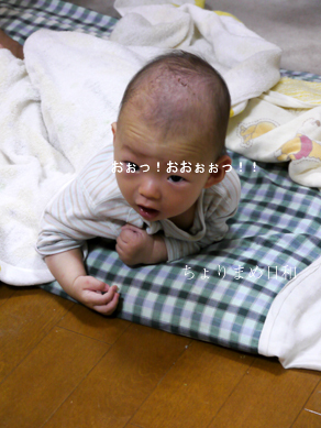 ちょりまめ日和