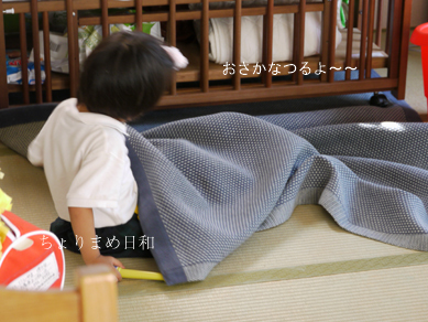 ちょりまめ日和